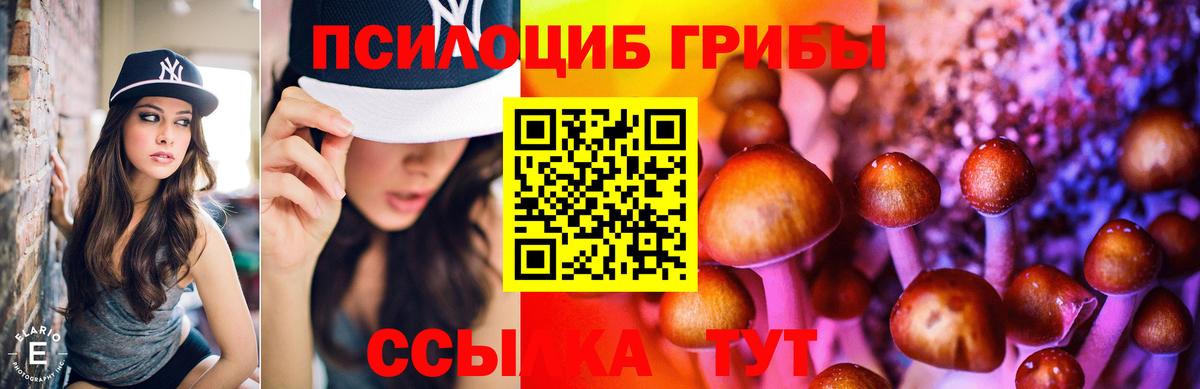 Галлюциногенные грибы Psilocybine cubensis  Вход с VPN  Черногорск  Галлюциногенные грибы Cubensis 